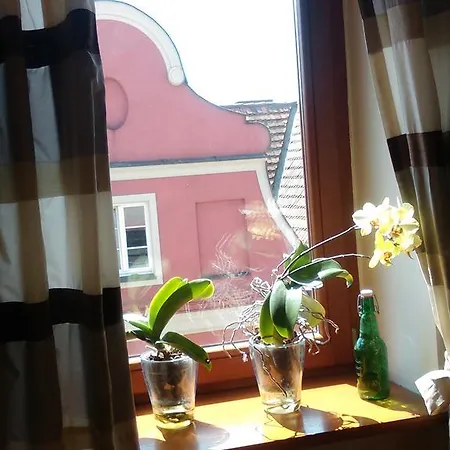 Apartamenty Stary Rynek Zydowska Apartment *